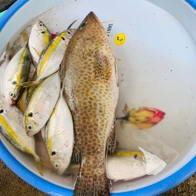 Bước 1