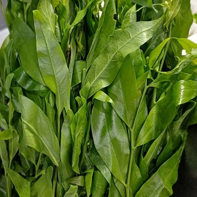 Bước 1