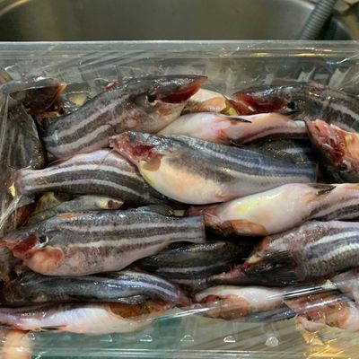 Bước 1