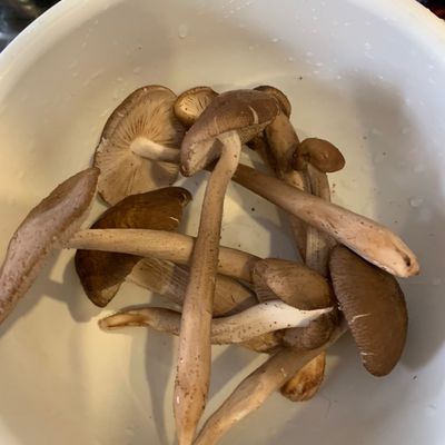 Bước 1