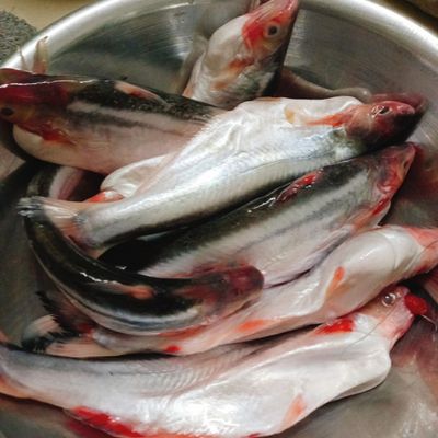 Bước 1