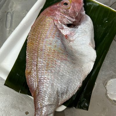 Bước 1