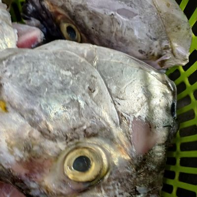 Bước 1