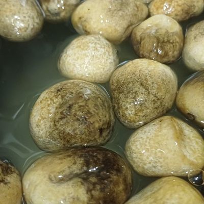 Bước 1