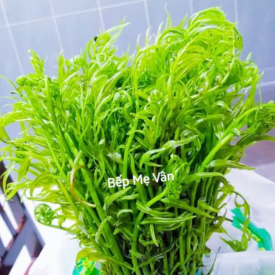 Bước 1
