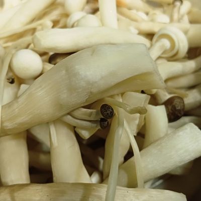 Bước 2
