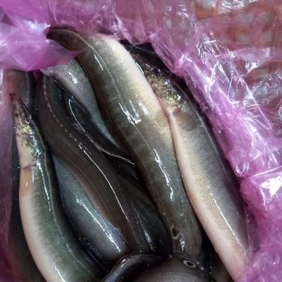 Bước 1