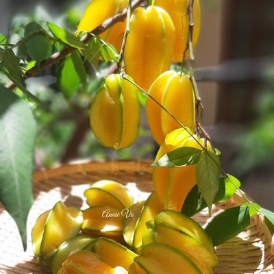 Bước 1