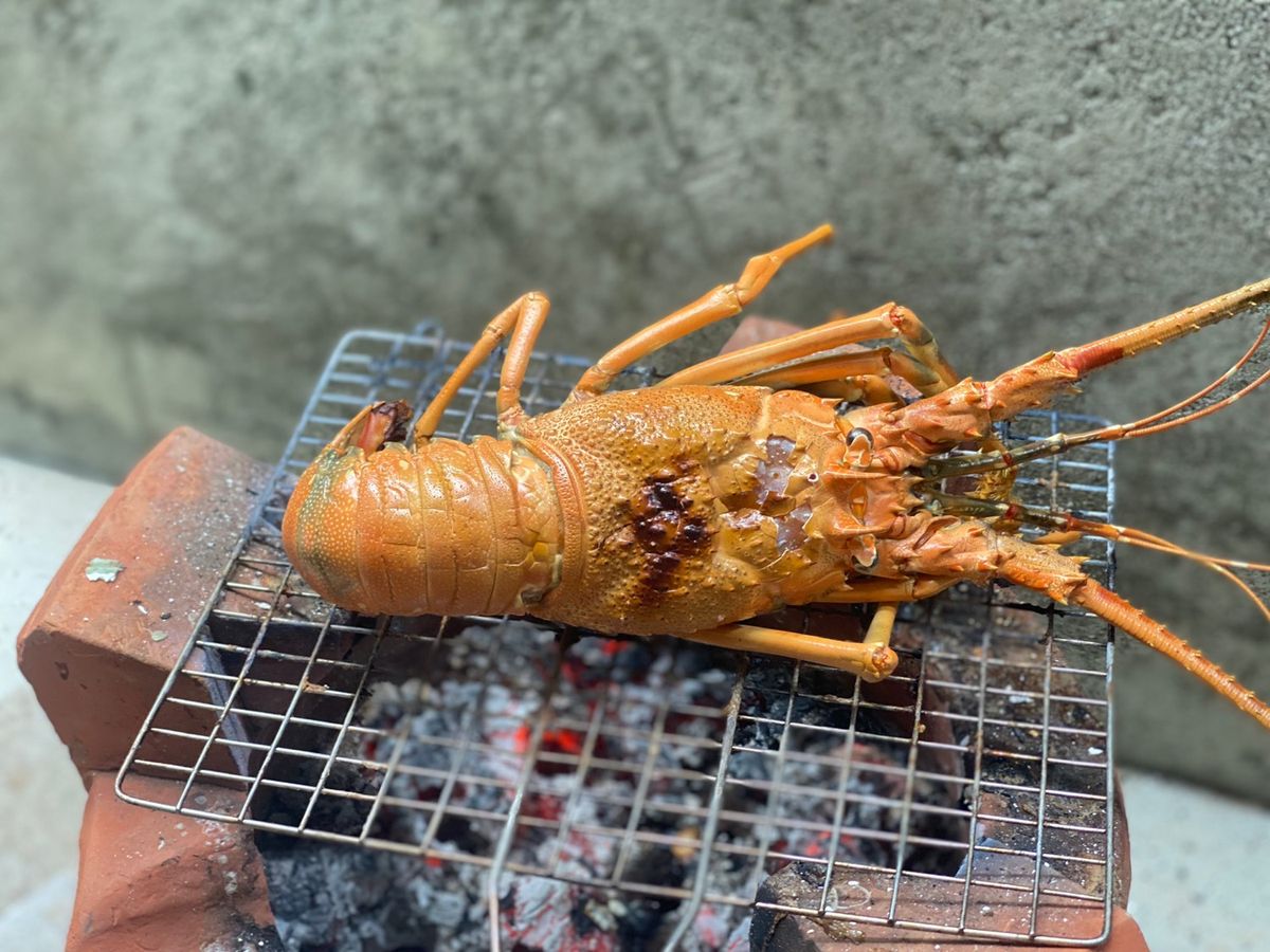 Tôm Hùm Nướng