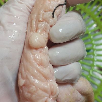Bước 1
