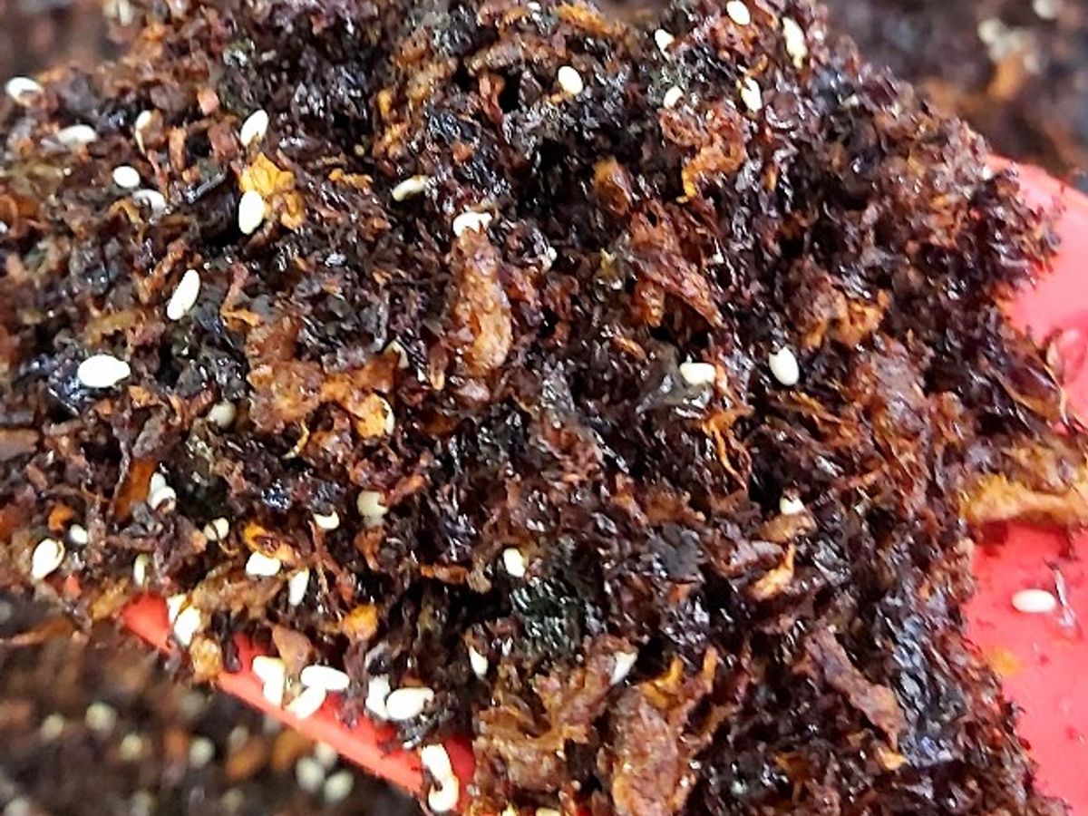 Ruốc nấm hương, rong biển