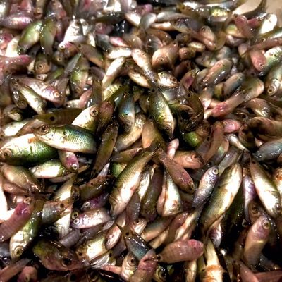 Bước 1