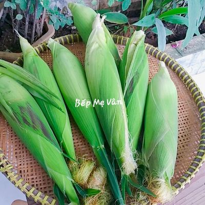 Bước 1