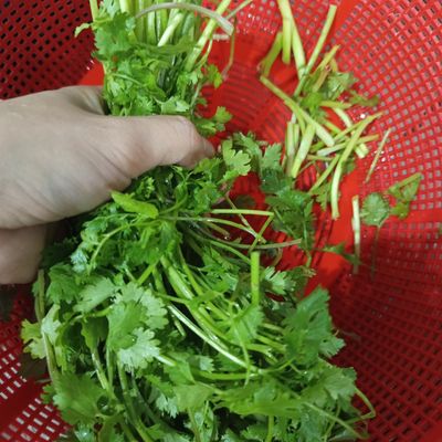 Bước 1