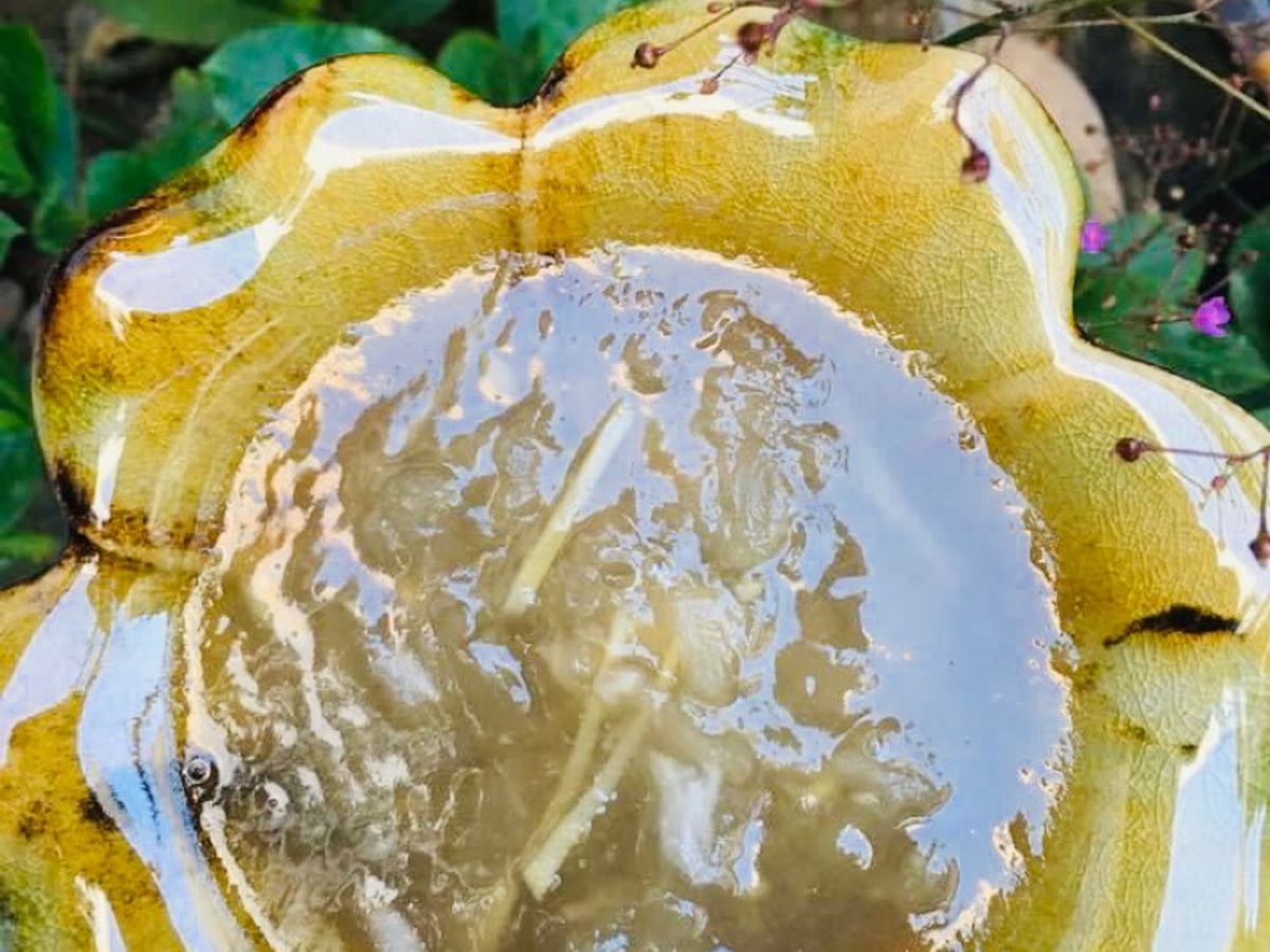 Chè Rau Câu