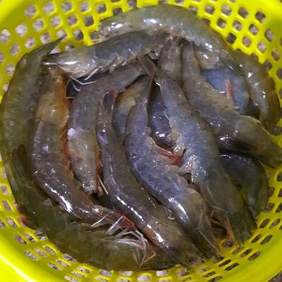 Bước 1
