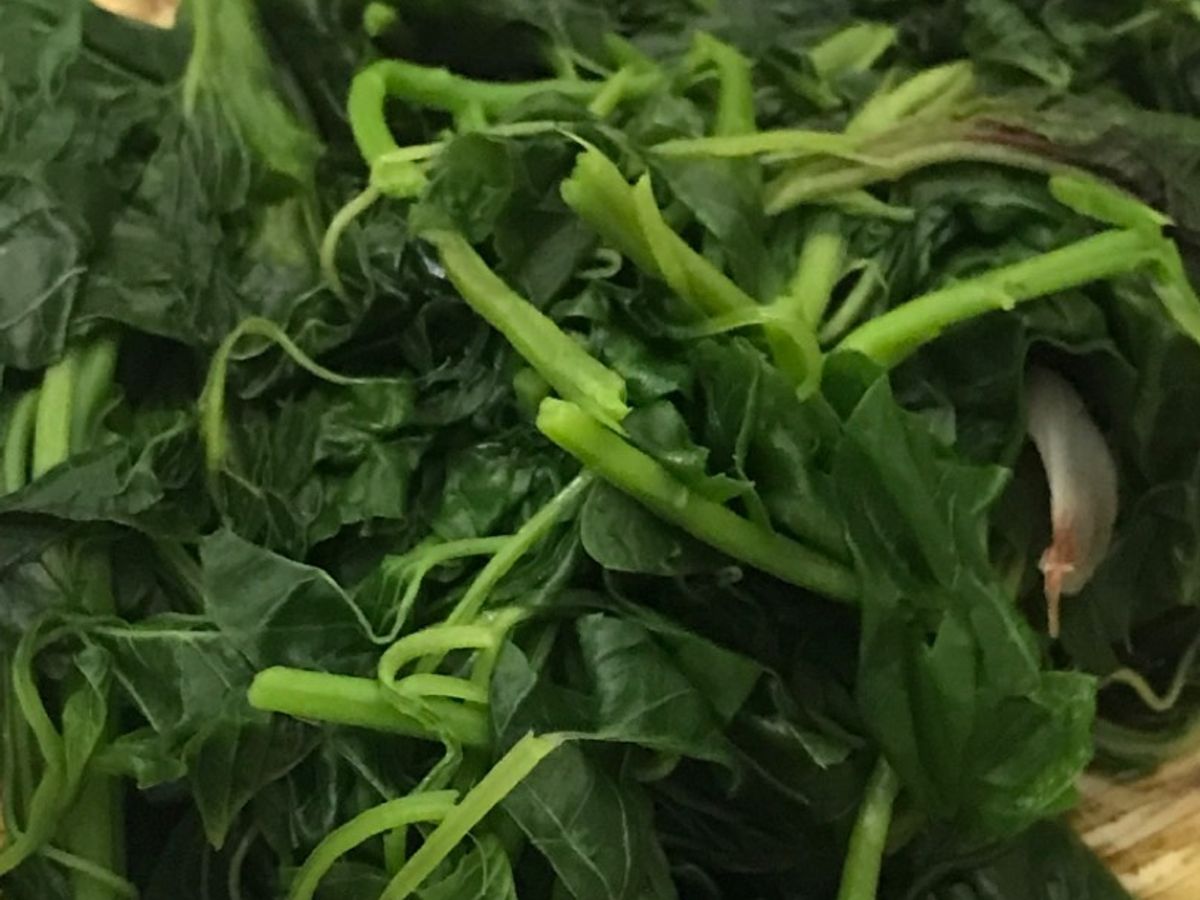 Canh rau dền luộc cà chua siêu ngon