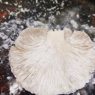 Bước 1