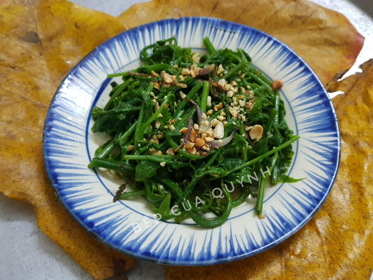 Rau dớn nộm