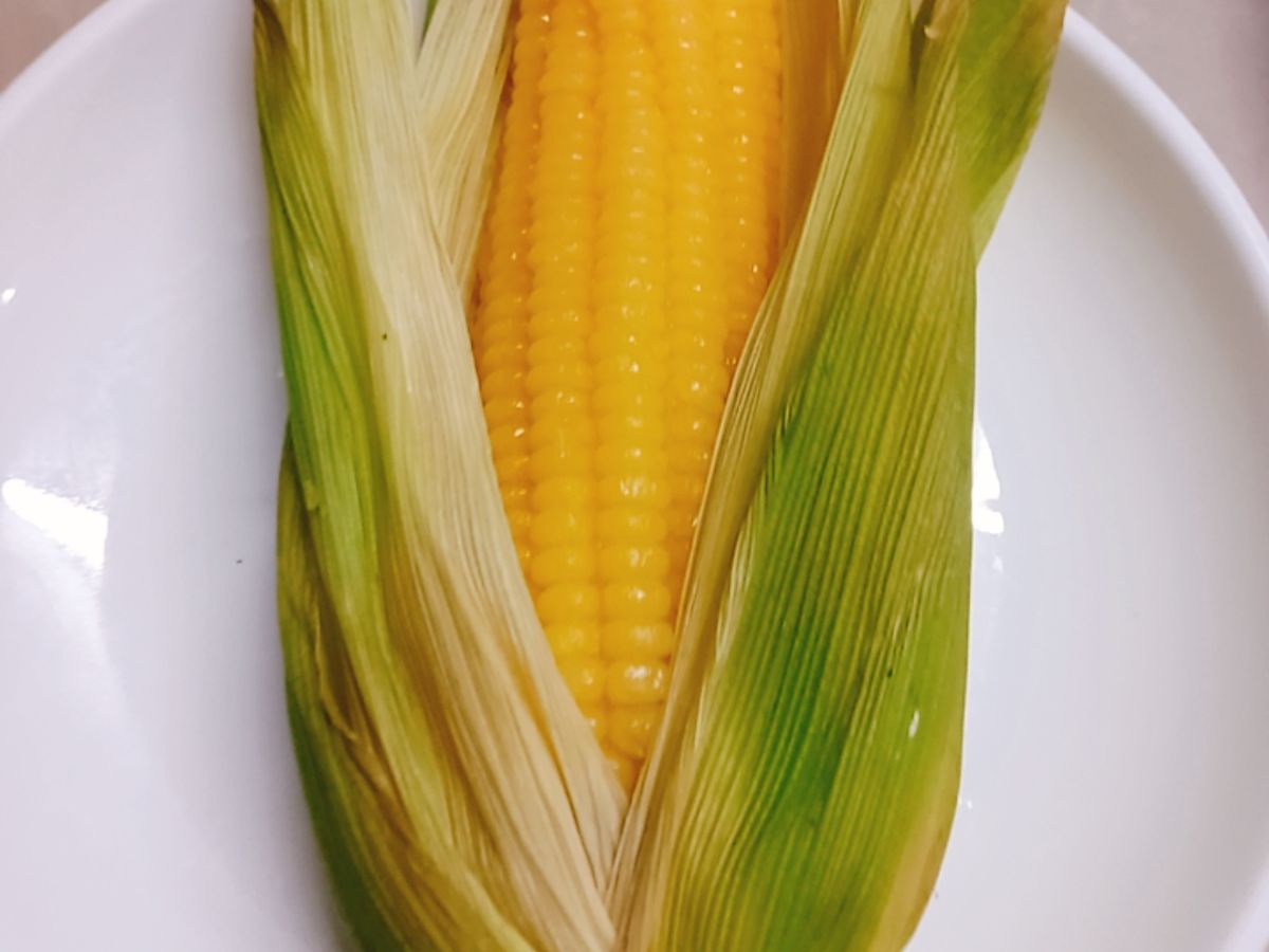 Rau câu trái bắp