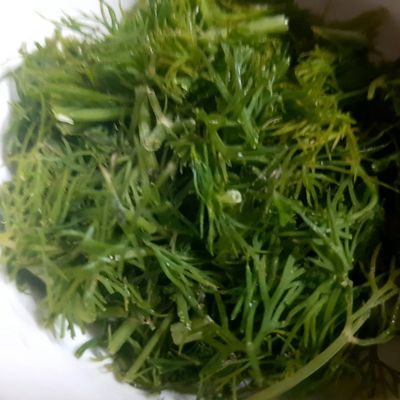 Bước 1