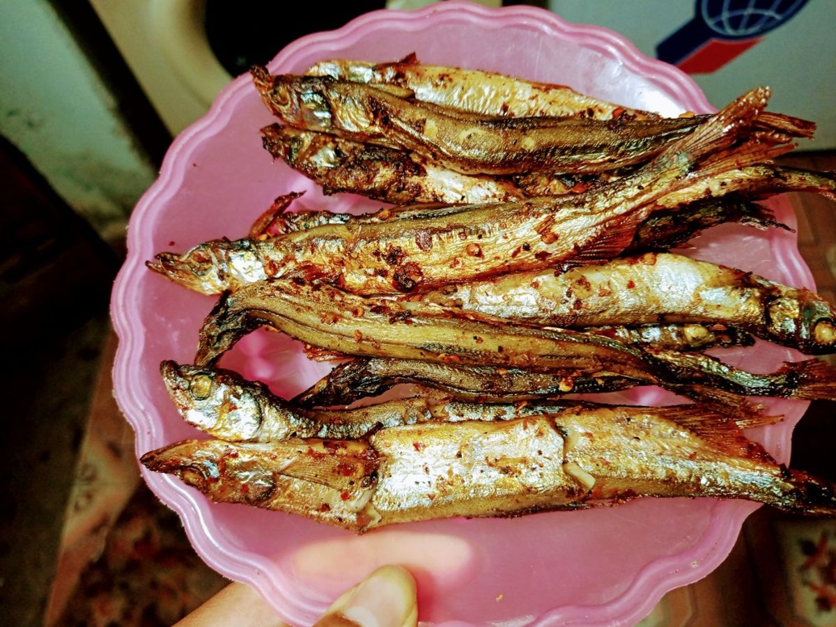 Cá trứng nauy nướng bằng nckd
