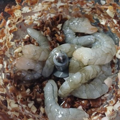 Bước 1