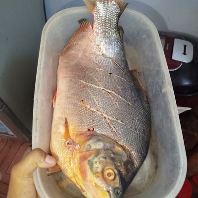 Bước 1
