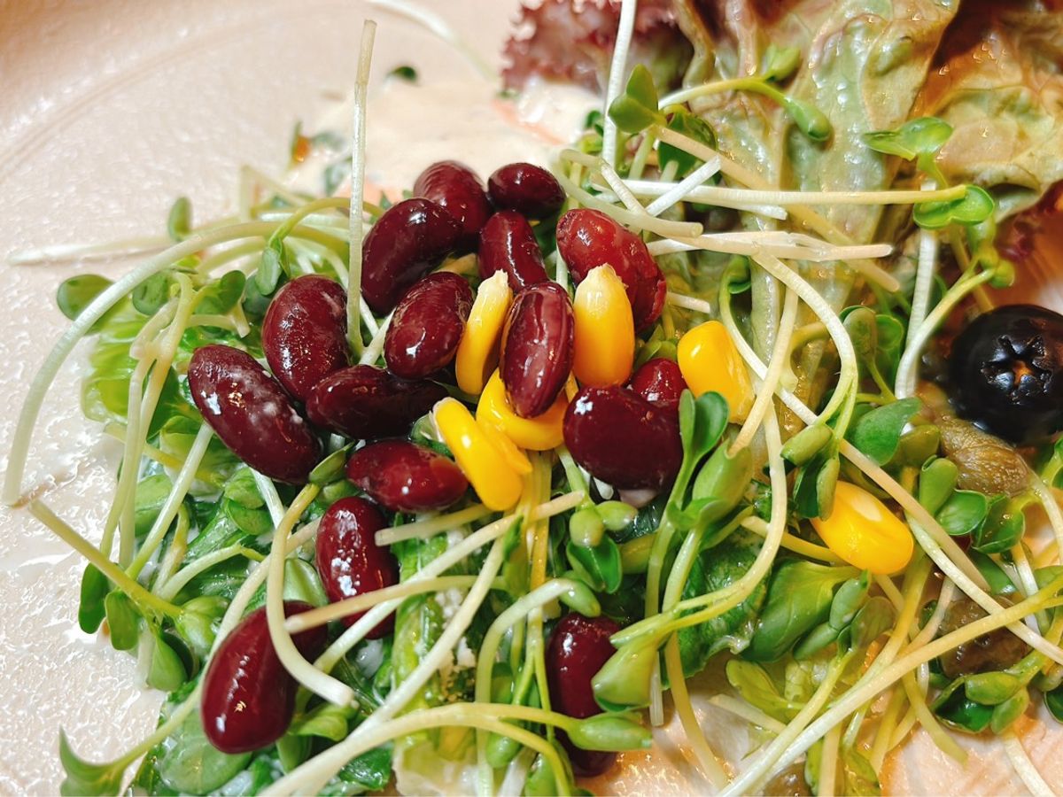 Salad rau mầm đậu đỏ