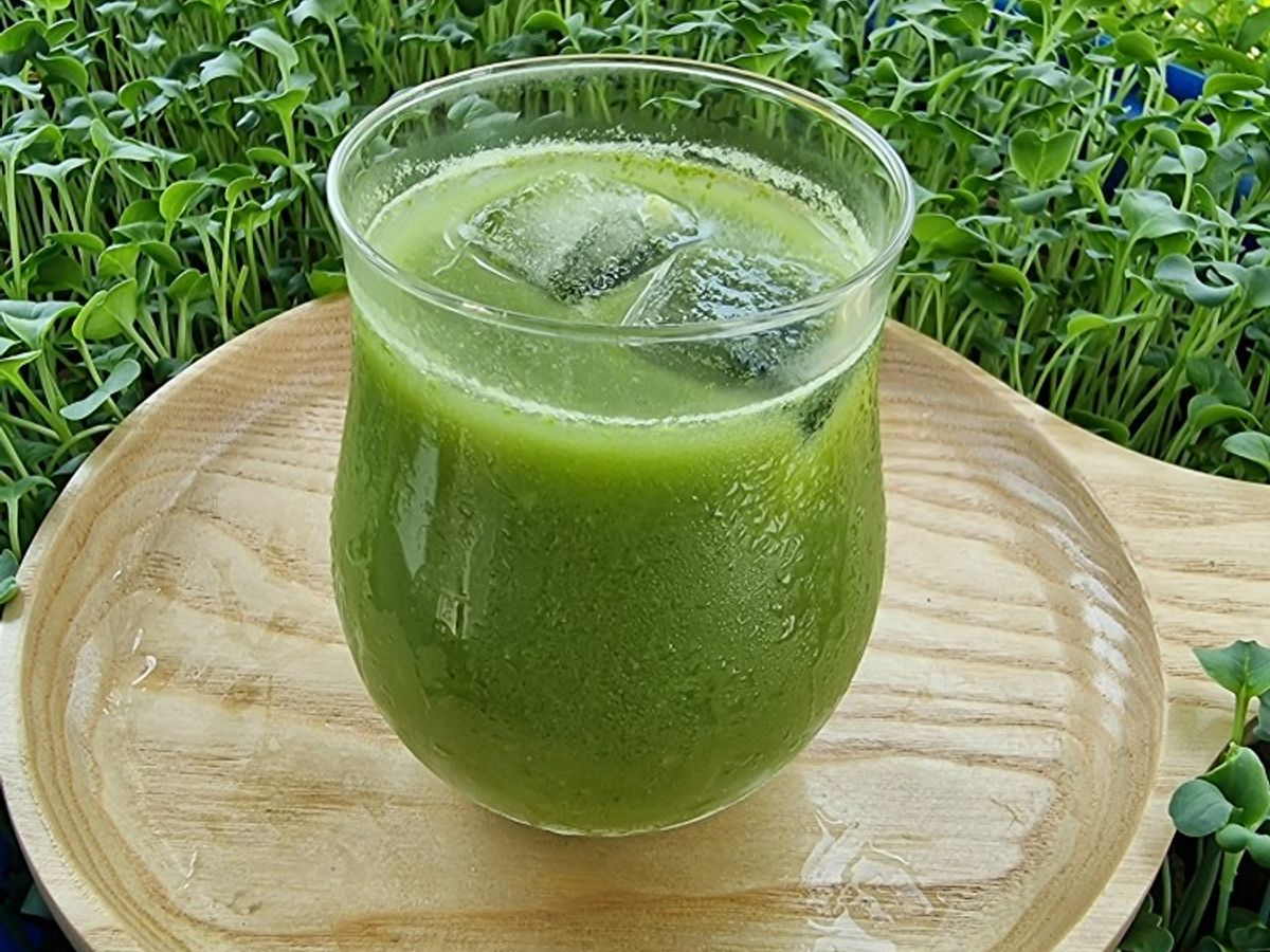 Rau má dừa