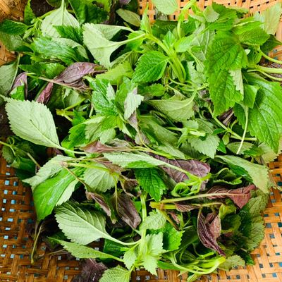 Bước 10