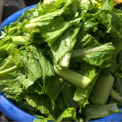 Bước 1
