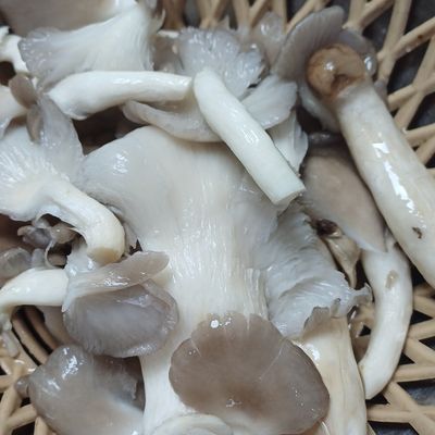Bước 2