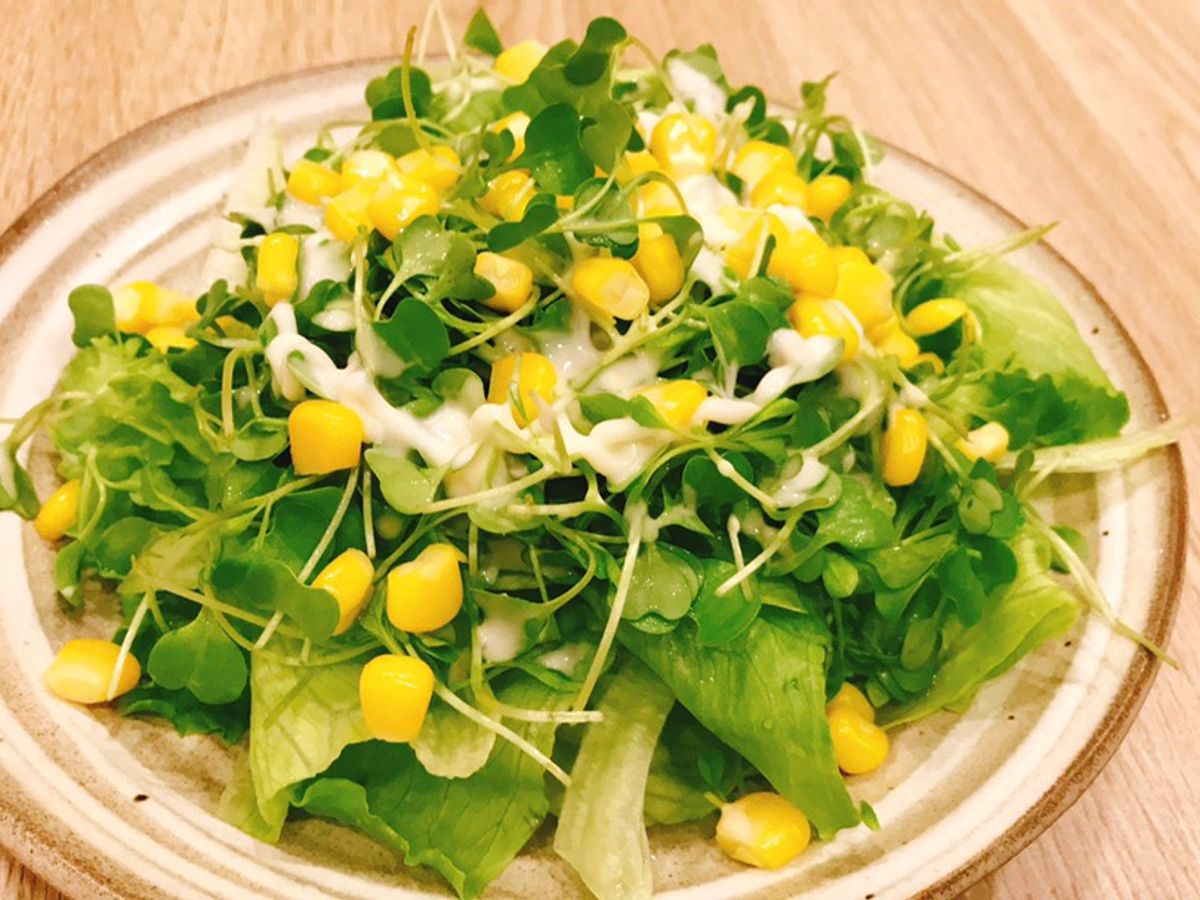 Salad bắp rau mầm