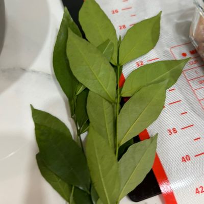 Bước 1