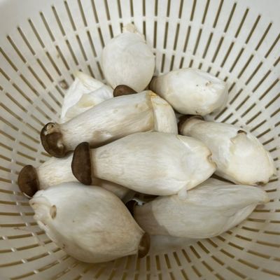 Bước 2