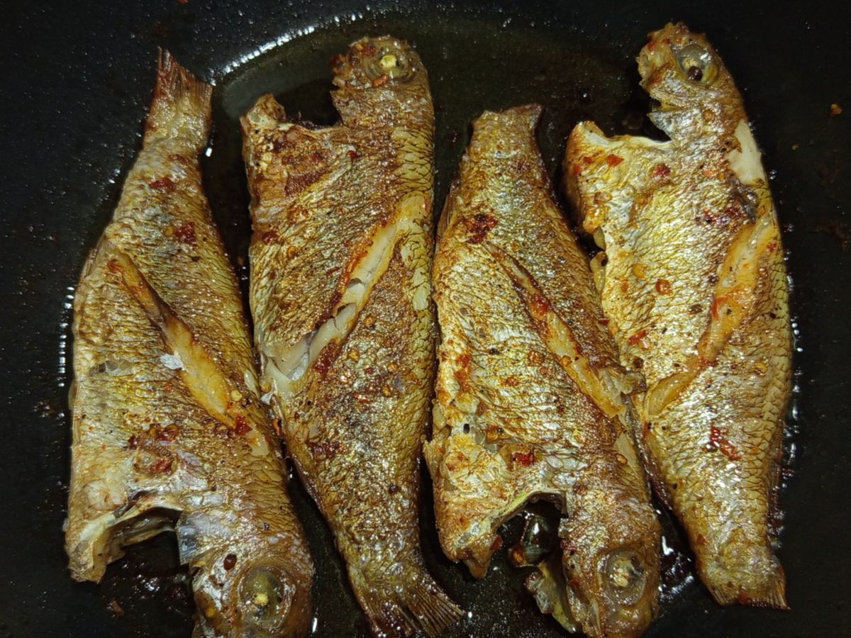 Cá đổng chiên muối sư