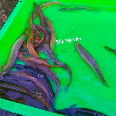 Bước 1
