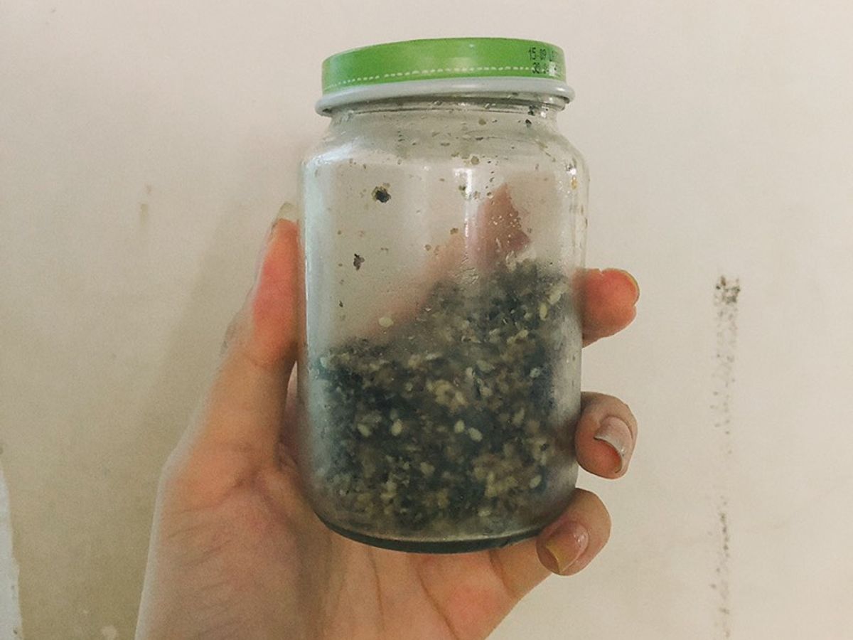 Rong biển rắc vị bò