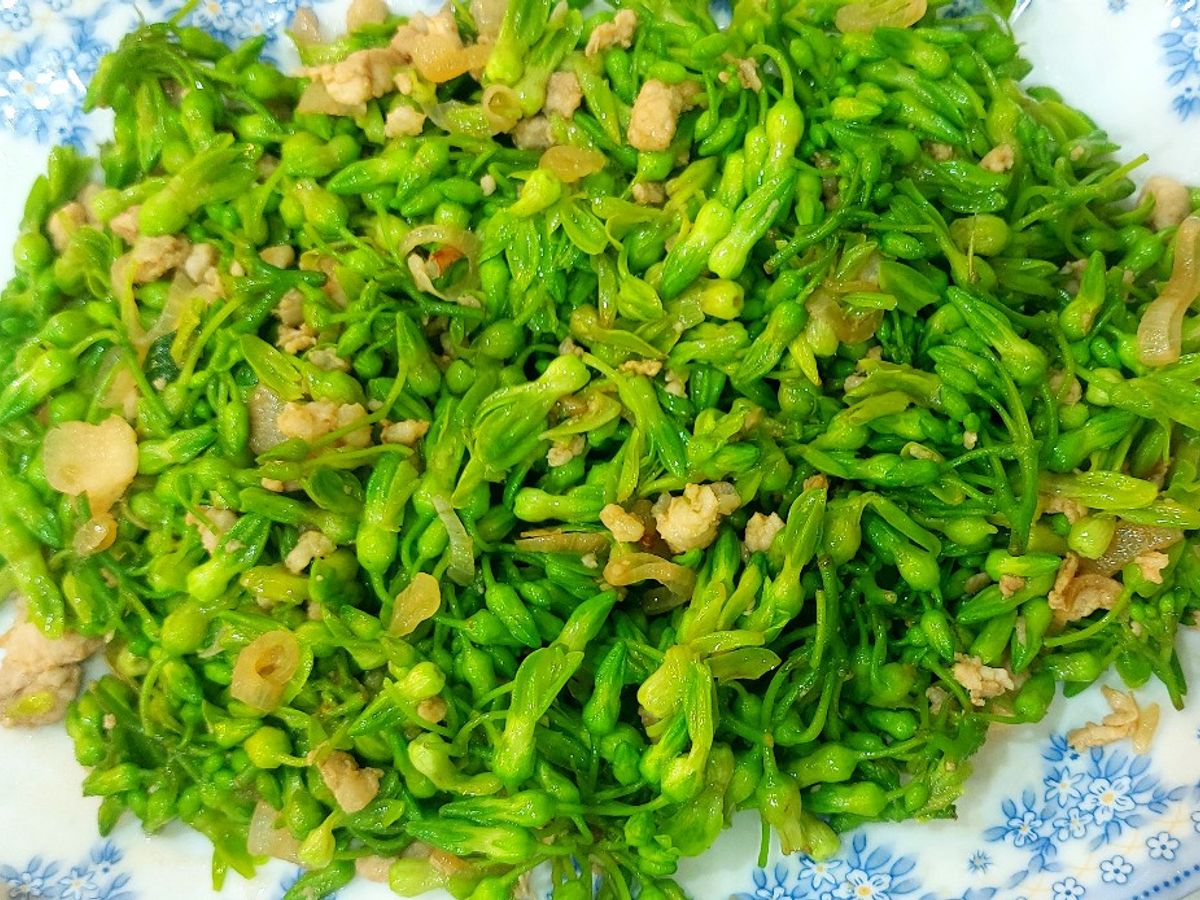Hoa thiên lý xào thịt nạc xay