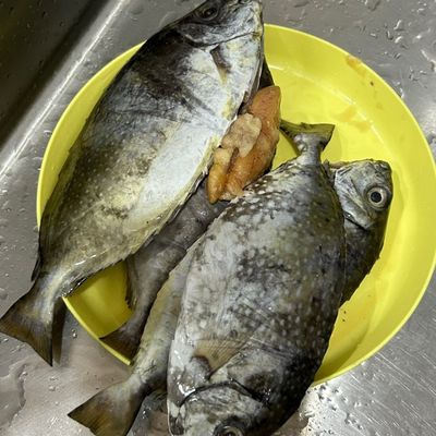 Bước 1