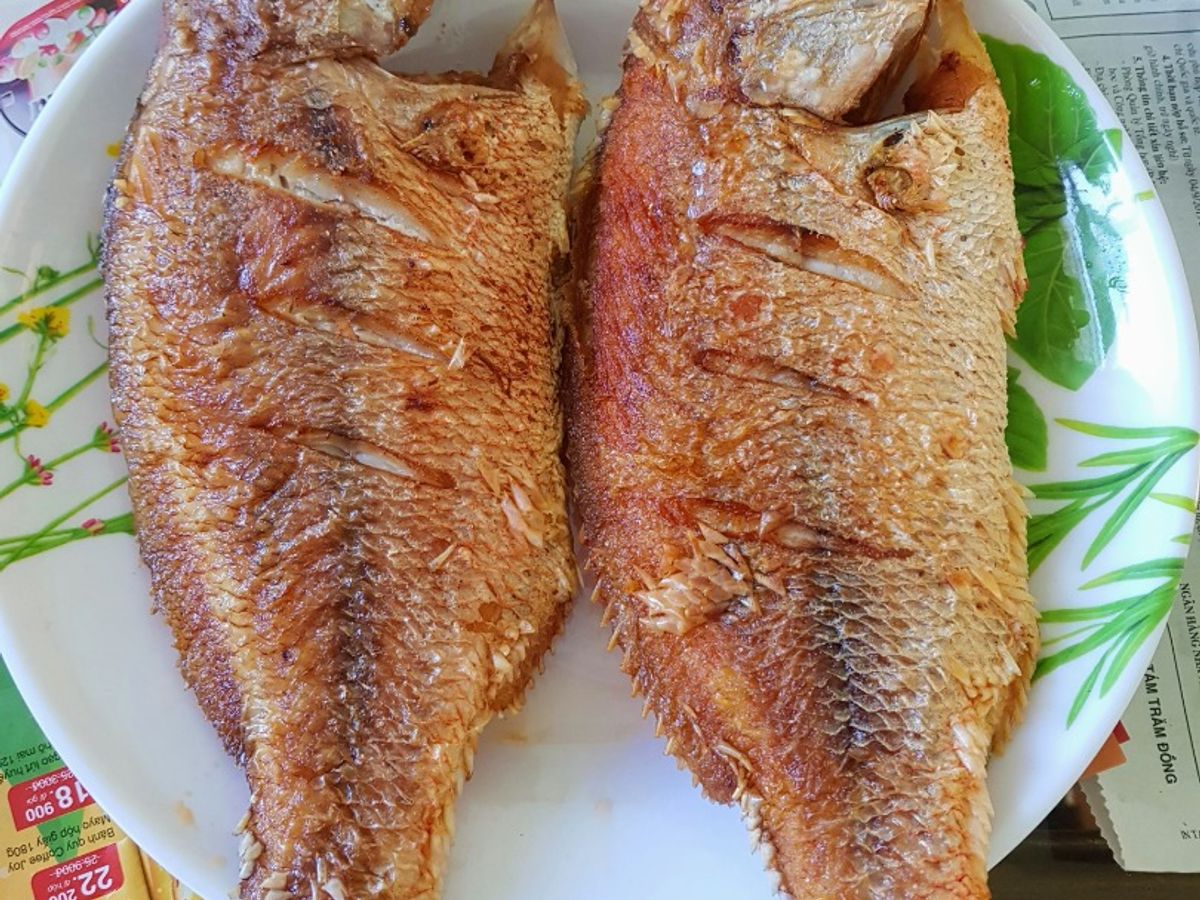 Cá hồng biển chiên