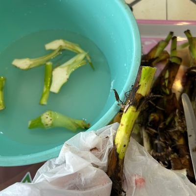Bước 1