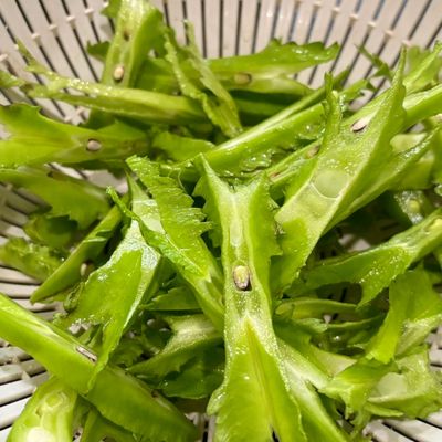 Bước 1