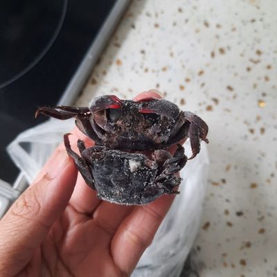 Bước 1