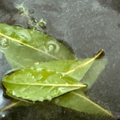 Bước 2