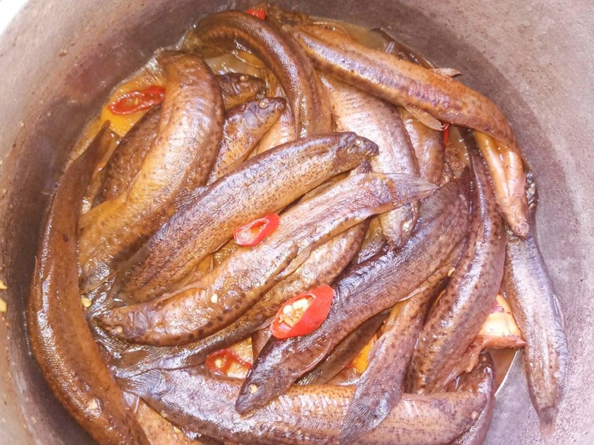 Cá trạch kho tương