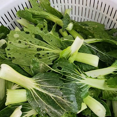Bước 1