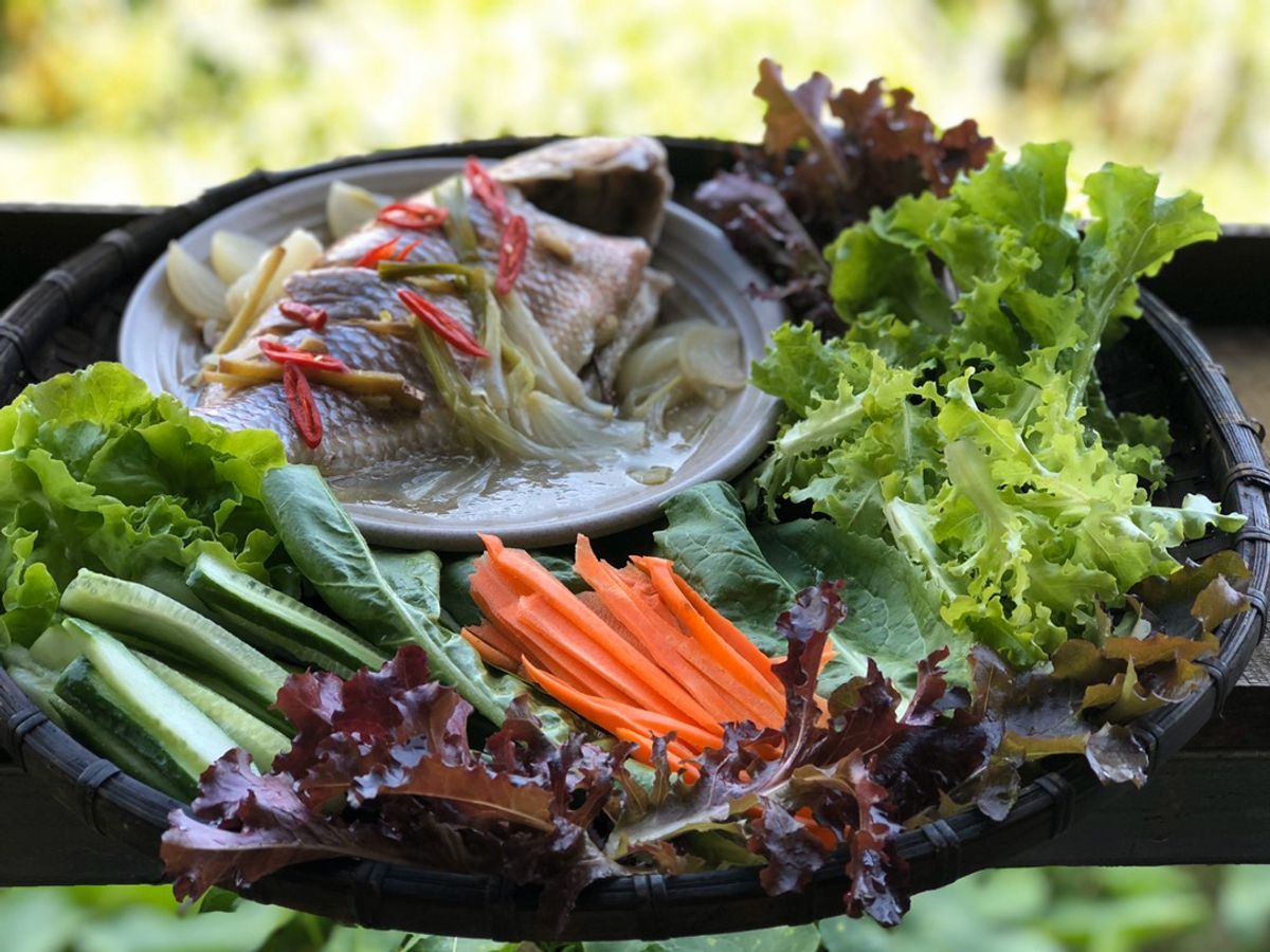 Cá Diêu Hồng hấp không ướp gia vị