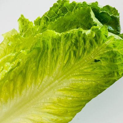 Bước 1
